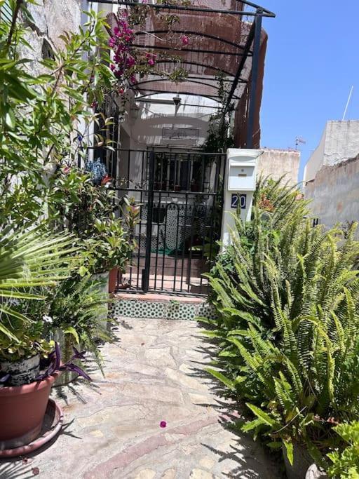 Amazing Sea And Mountain View! Casita Pinata Apartment Salobrena Luaran gambar