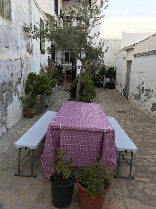 Amazing Sea And Mountain View! Casita Pinata Apartment Salobrena Luaran gambar