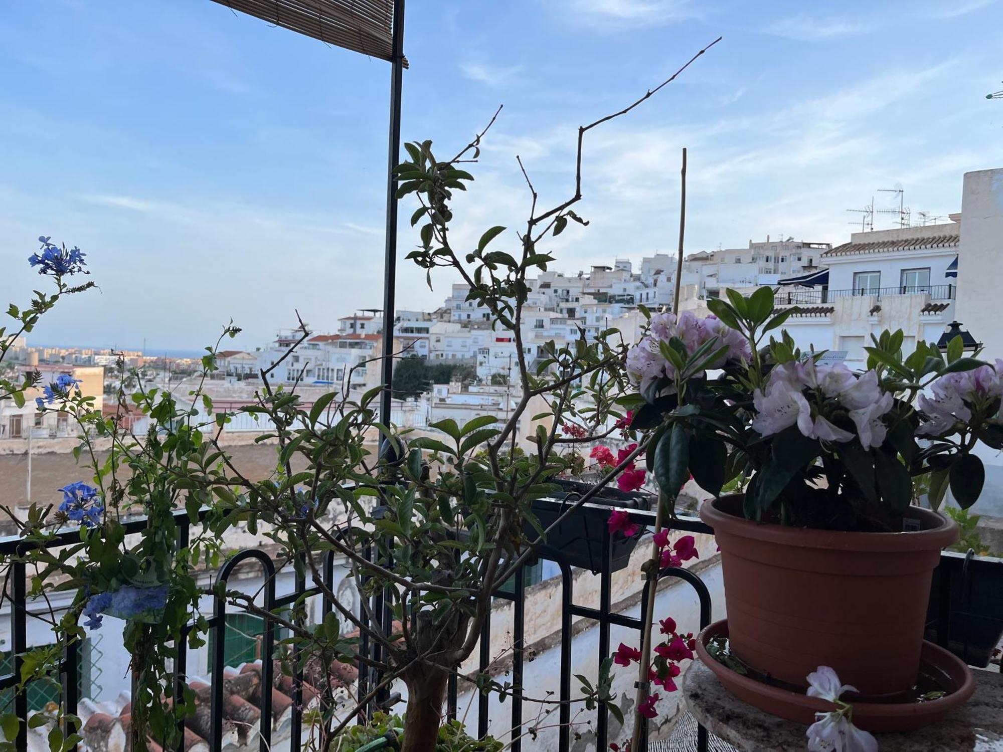 Amazing Sea And Mountain View! Casita Pinata Apartment Salobrena Luaran gambar